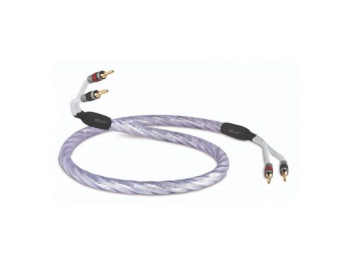 QED  QED GENESIS Speaker cable GENESISPRETERM. 2.5M