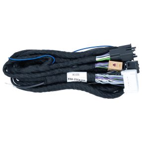 ALPINE EXA-21CA150